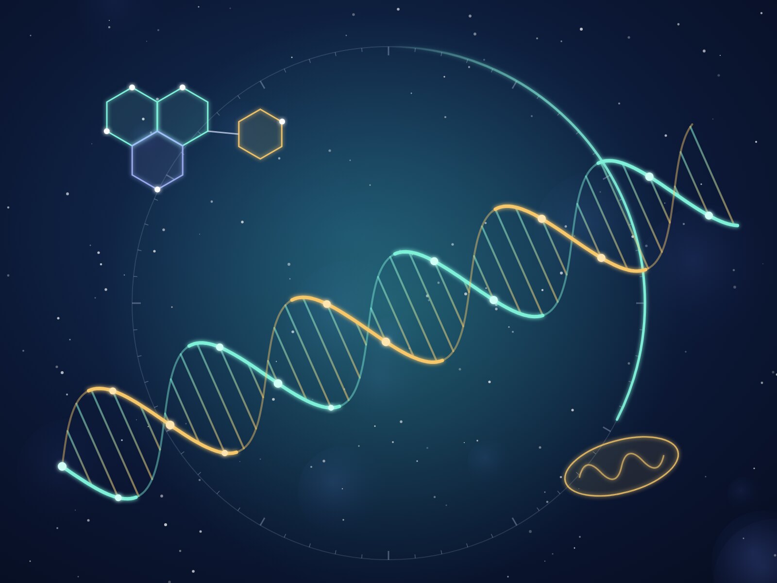 Illustration de la science de la longévité : double hélice d'ADN, molécule de NAD+ et horloge biologique